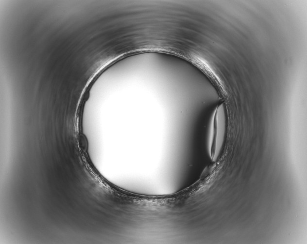 X0000087040900200705021134