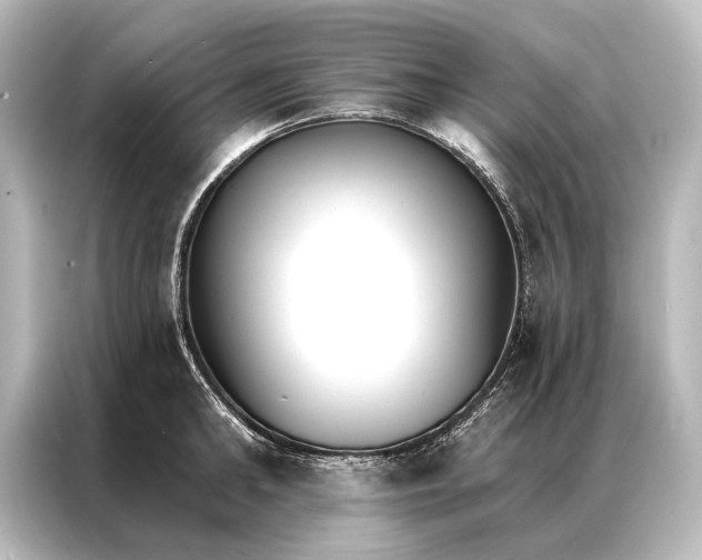 X0000087040902200705021134