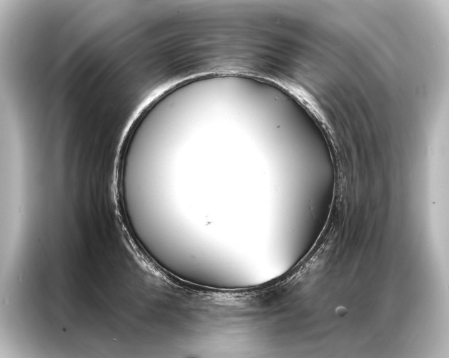 X0000087040904200705021134