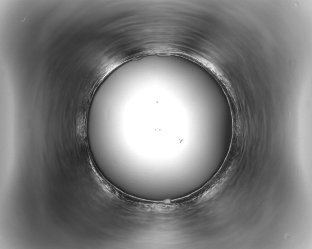 X0000087040905200705021134