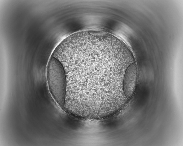 X0000087040907200705021134