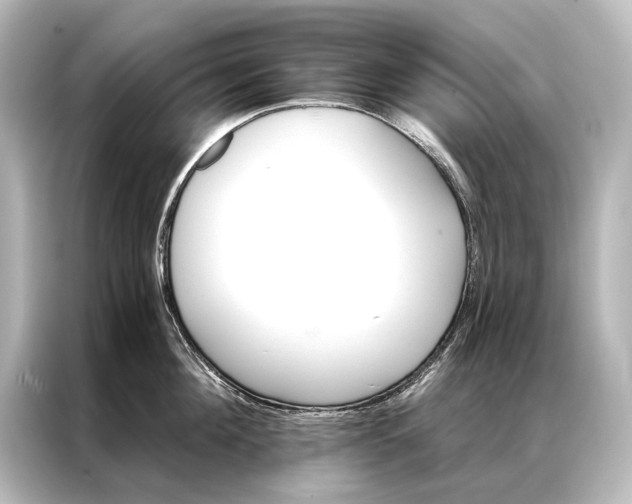 X0000087040908200705021134