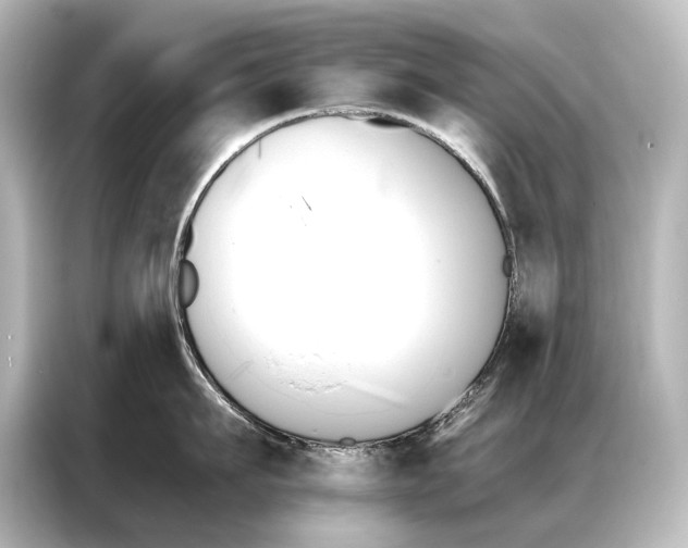 X0000087040911200705021134