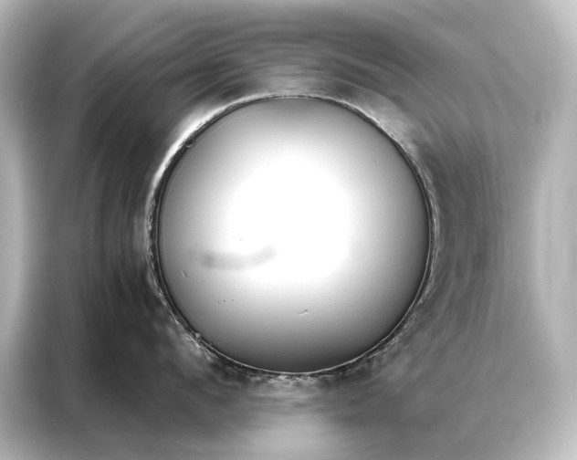 X0000087040912200705021134