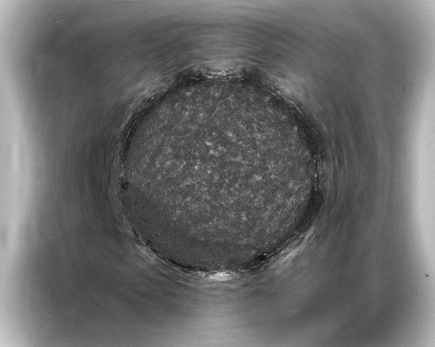 X0000087040913200705021133