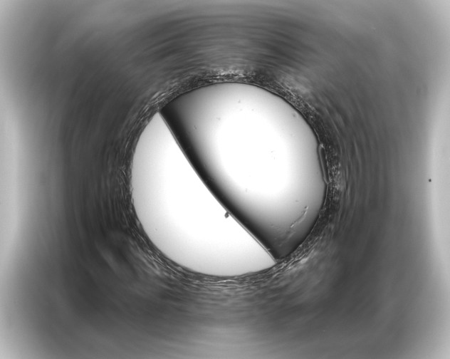 X0000087040916200705021133