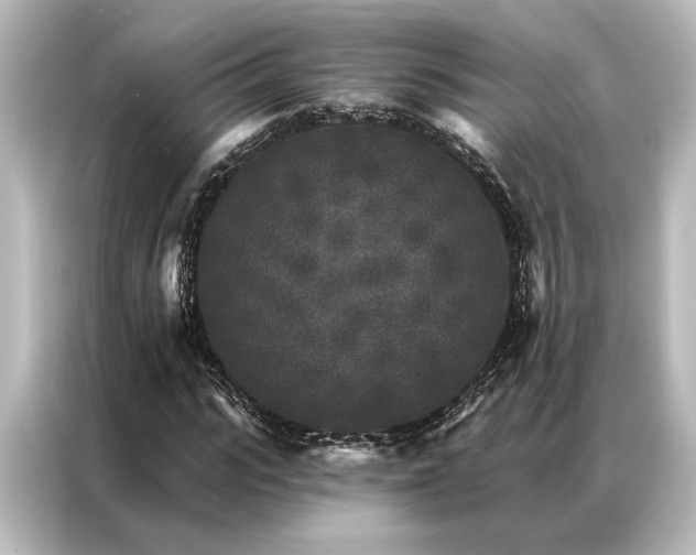 X0000087040919200705021133