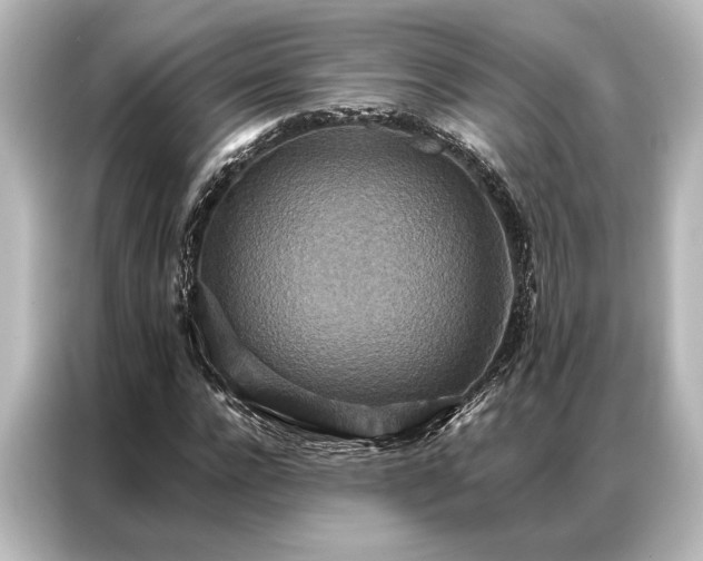 X0000087040920200705021133