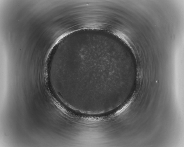 X0000087040923200705021133
