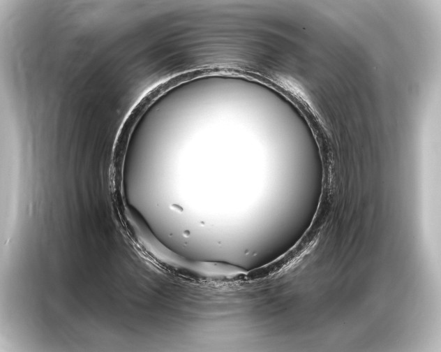 X0000087040924200705021133