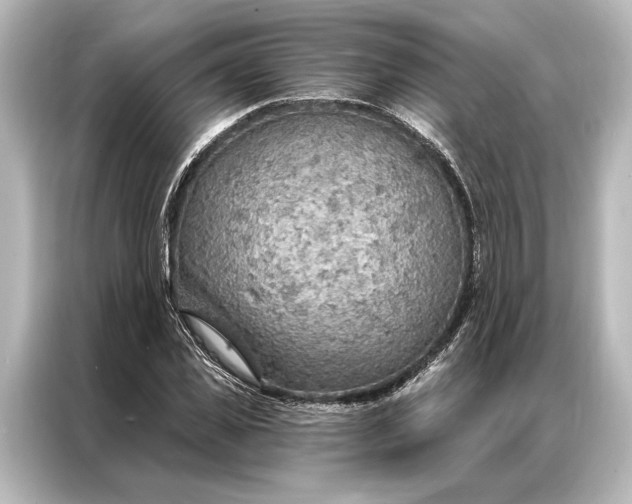 X0000087040925200705021133