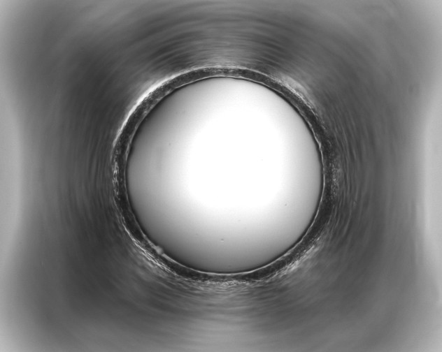 X0000087040926200705021133