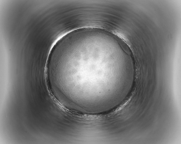 X0000087040928200705021133