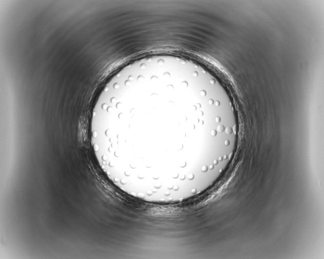 X0000087040929200705021133