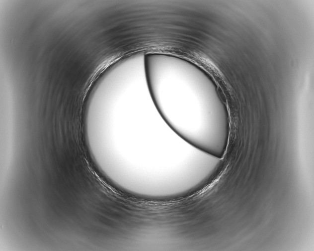 X0000087040930200705021133