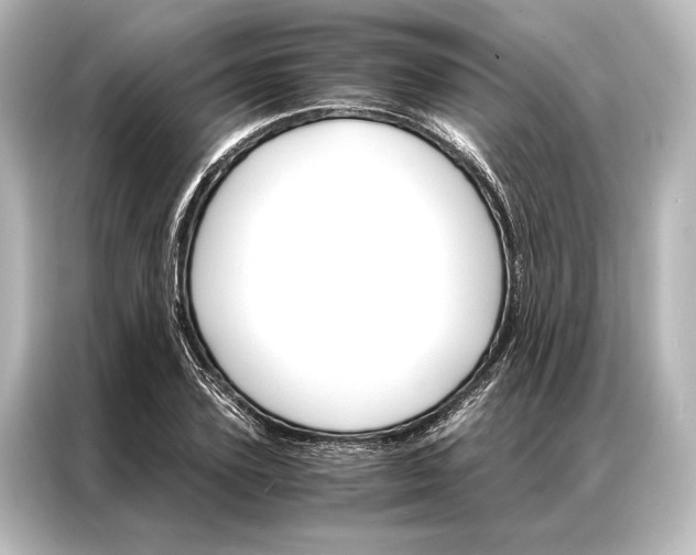 X0000087040931200705021134