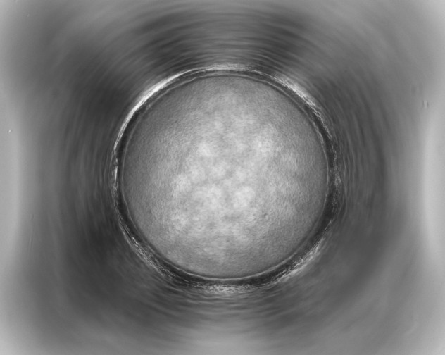 X0000087040933200705021134