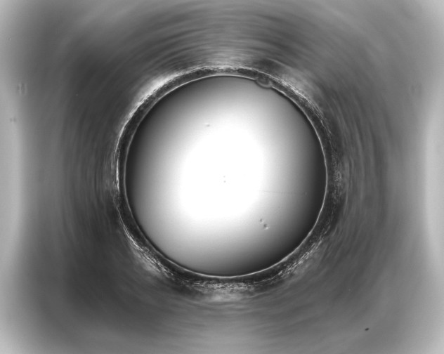 X0000087040934200705021134