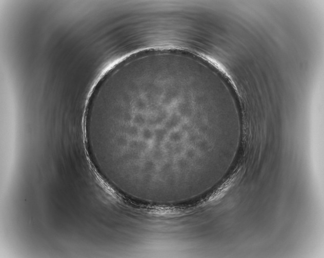 X0000087040935200705021134