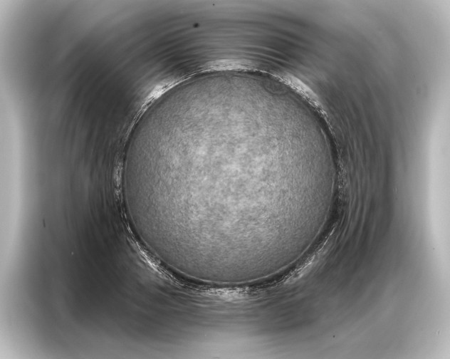 X0000087040937200705021134