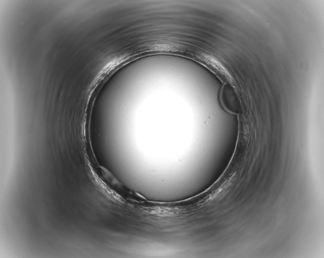 X0000087040938200705021134