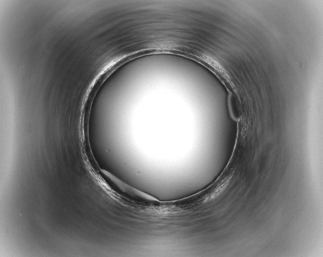X0000087040939200705021134
