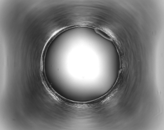 X0000087040940200705021134