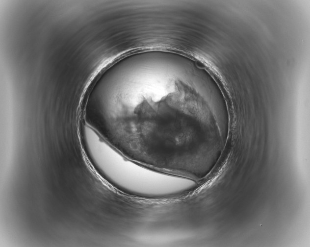 X0000087040941200705021134