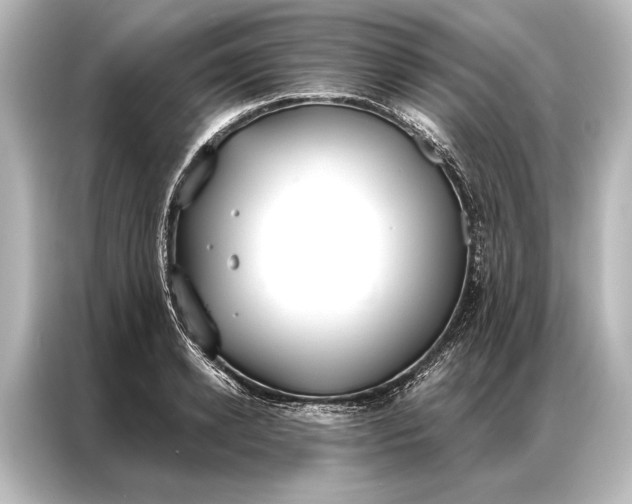 X0000087040942200705021134