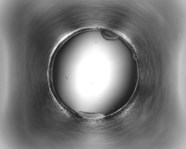 X0000087040943200705021134