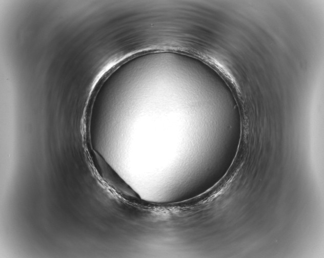 X0000087040944200705021134