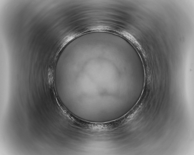 X0000087040945200705021134