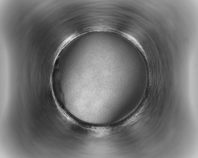X0000087040946200705021134