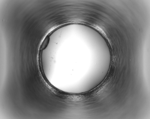 X0000087040947200705021134