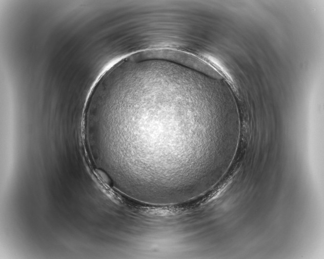 X0000087040948200705021134
