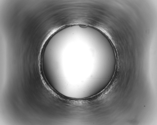 X0000087040949200705021134