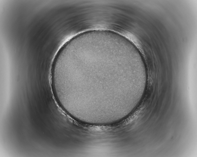 X0000087040950200705021134
