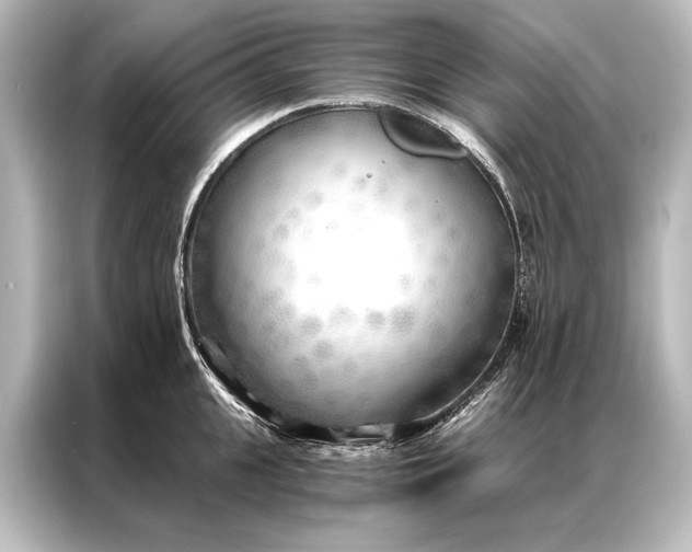 X0000087040951200705021134