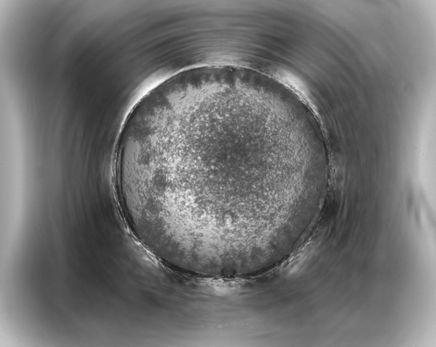 X0000087040952200705021134