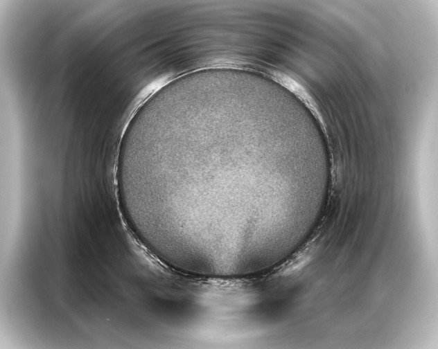 X0000087040954200705021134
