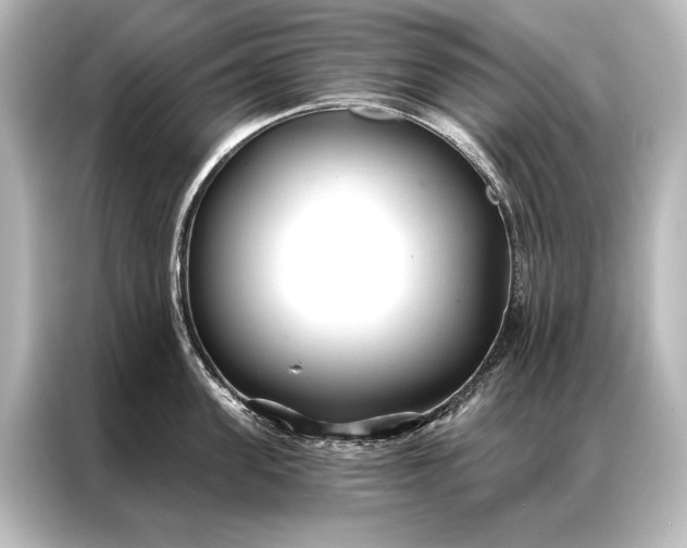 X0000087040955200705021134