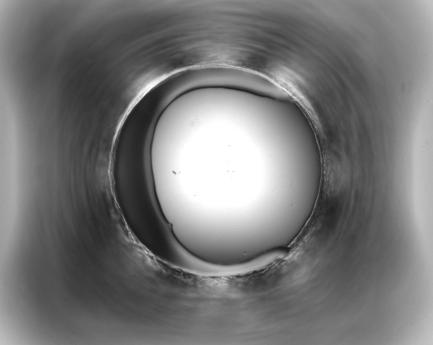 X0000087040956200705021134