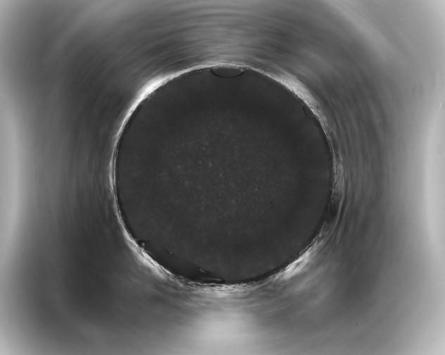 X0000087040958200705021134