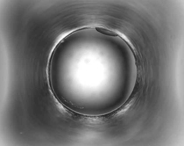 X0000087040959200705021134