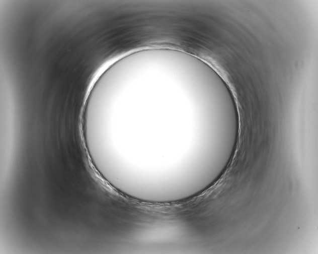 X0000087040960200705021134