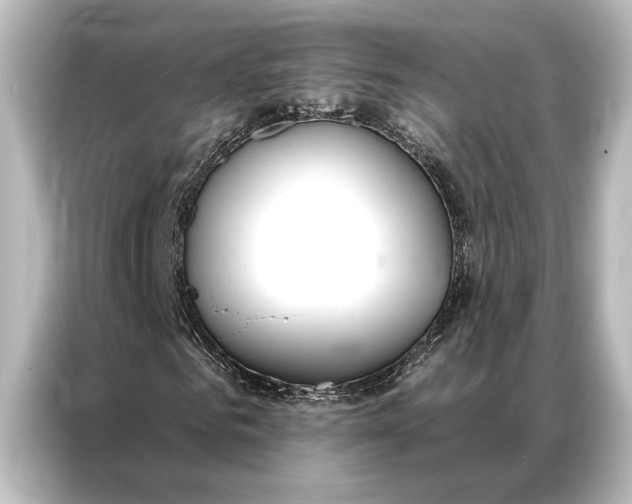 X0000087040961200705021133