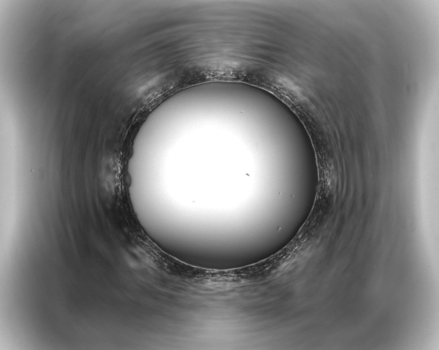 X0000087040964200705021133