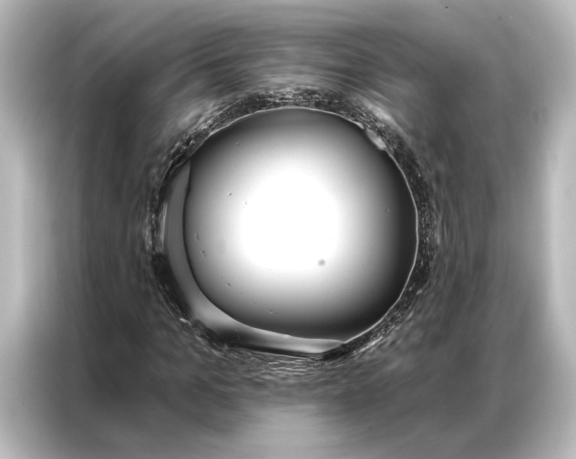 X0000087040965200705021133