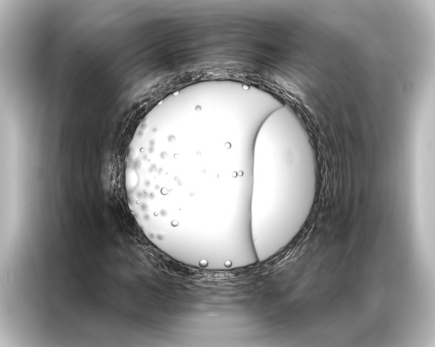X0000087040966200705021133