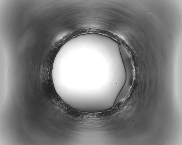 X0000087040967200705021133